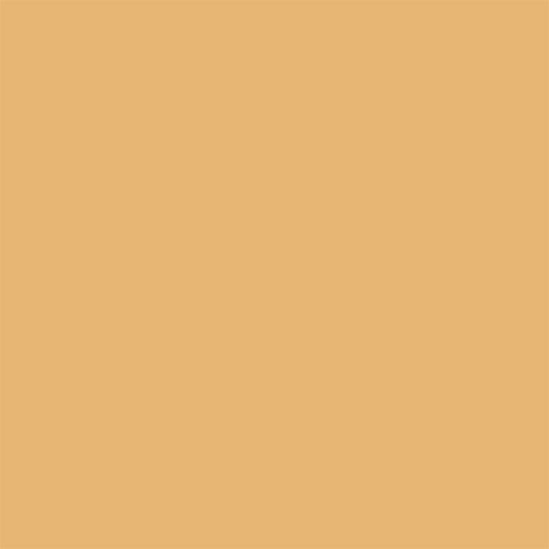 Peinture pour murs Colorissim jaune miel mat 2,5 L V33