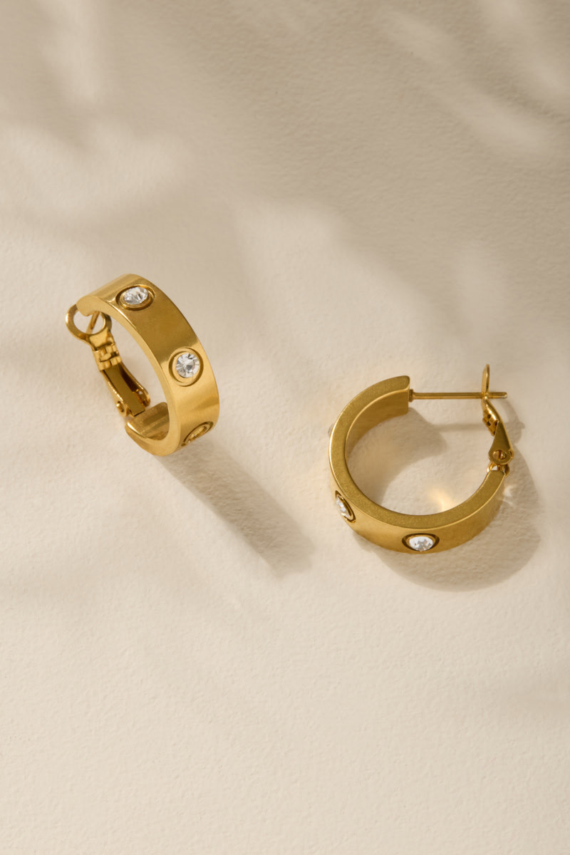 Paula Stainless Steel Gold Hoop Earrings