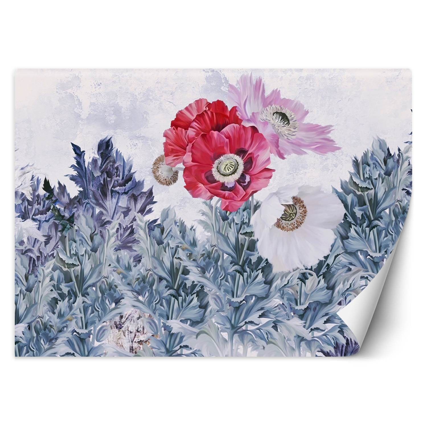 Feeby Fototapeta, Maki kwiaty pastelowa kompozycja 150x105