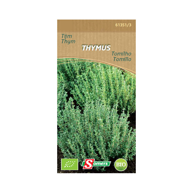 Semences de thym Bio SOMERS