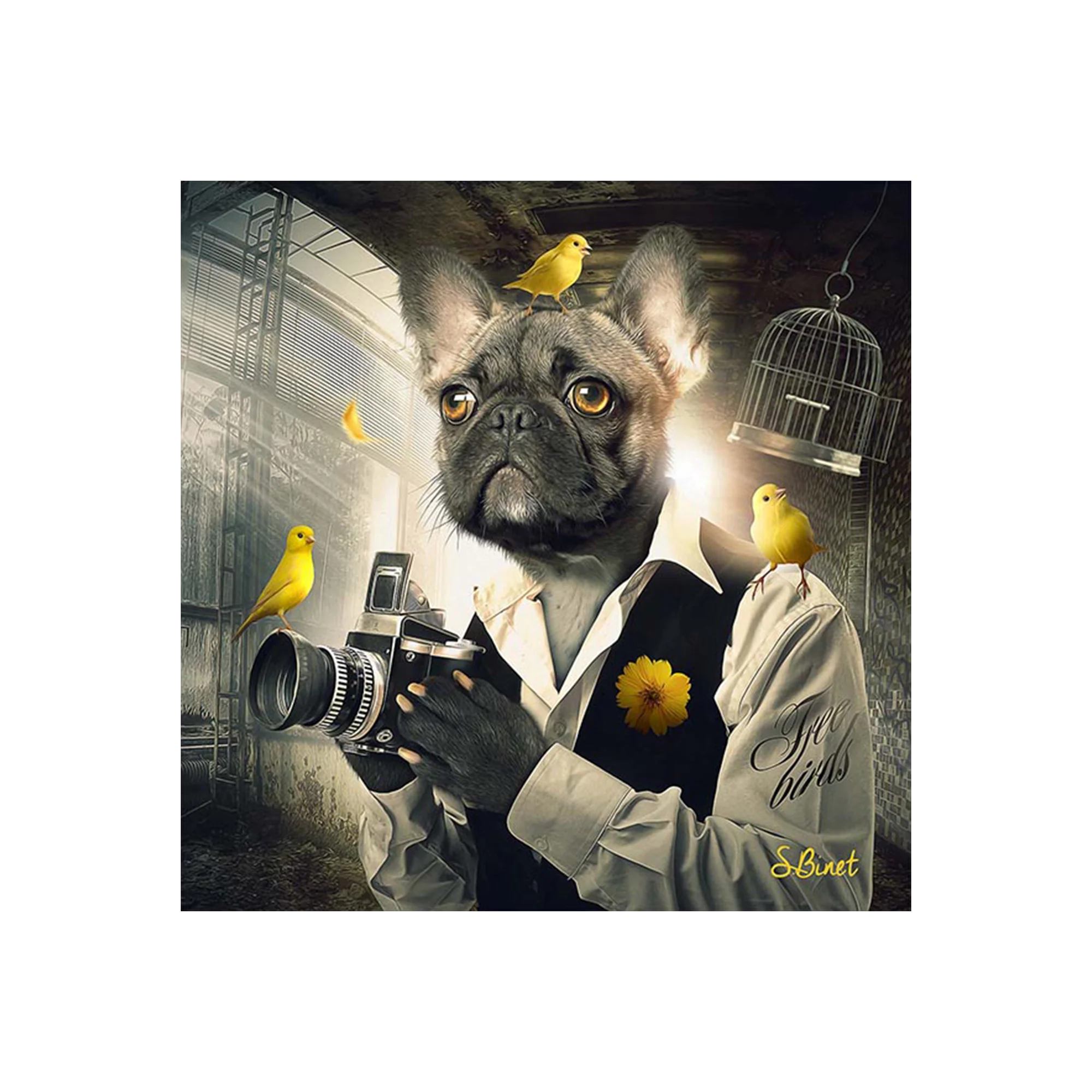 Tableau BINET CHIEN PHOTO coloris noir