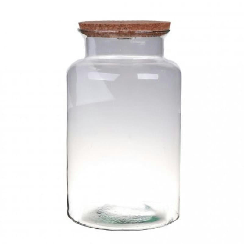 - Terrarium Bose 30cm - Bouchon Liège