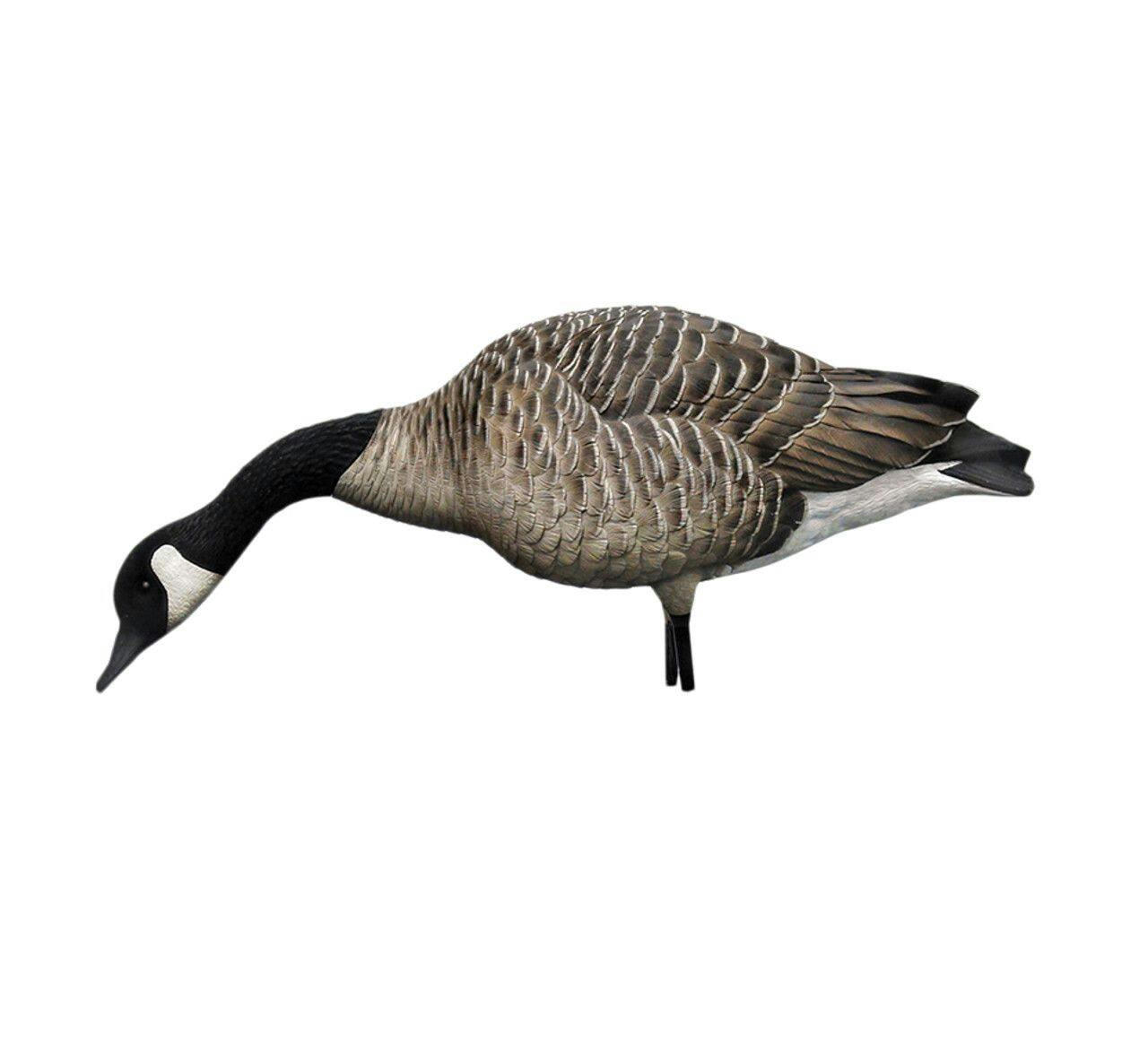 Avian-X Fusion Honker Goose Decoys, 6-pc