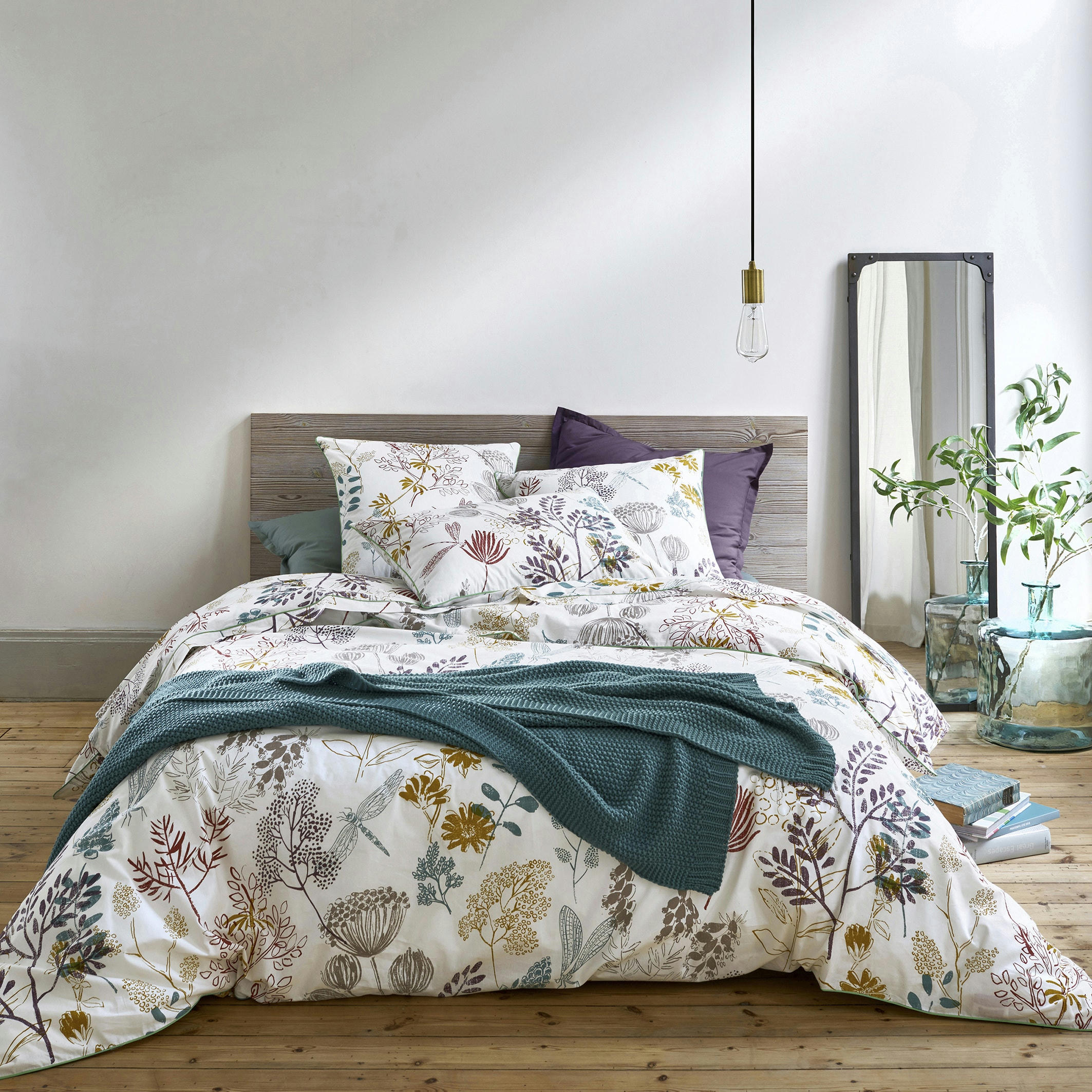 Drap plat percale de coton, Botanique