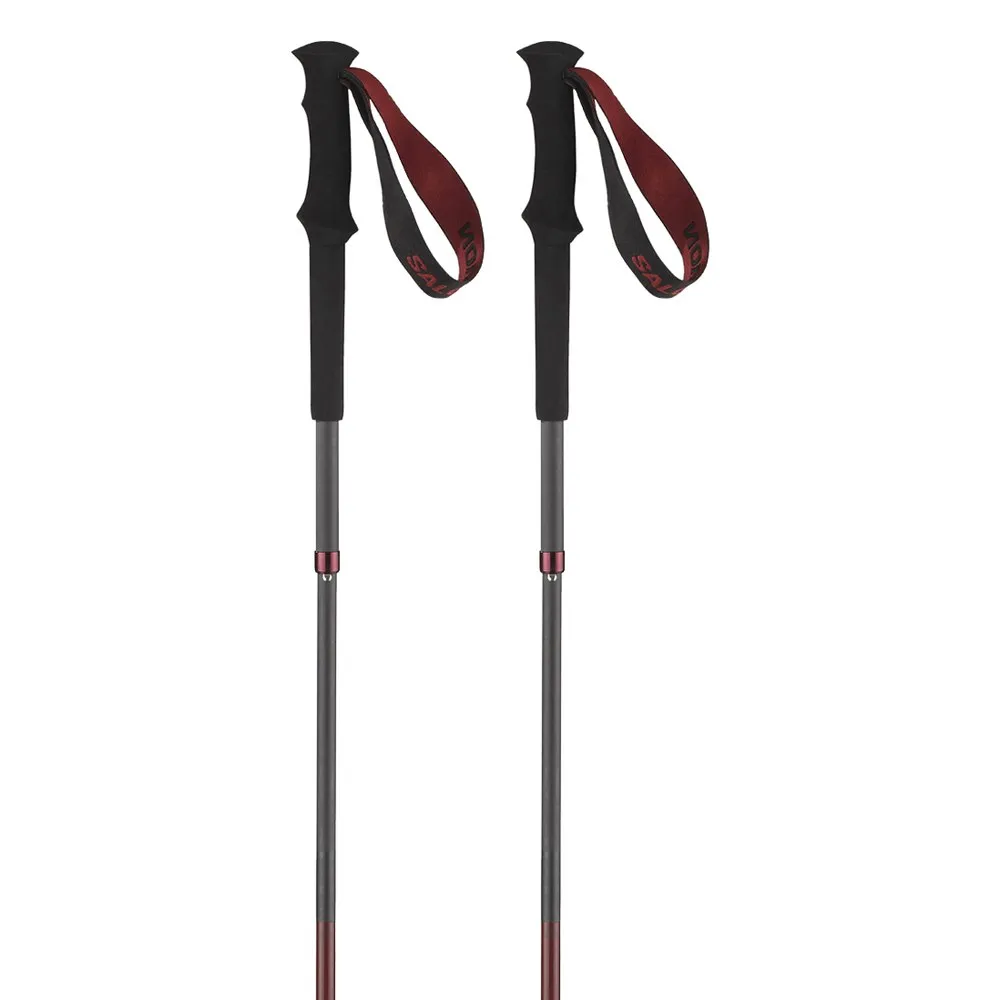 Salomon Quest Carbon Foldable poles