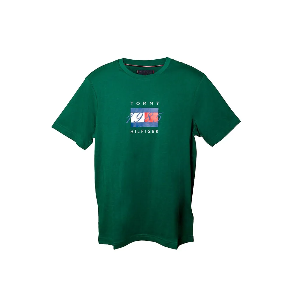 Tommy Hilfiger Linear Flag Graphic short sleeve T-shirt