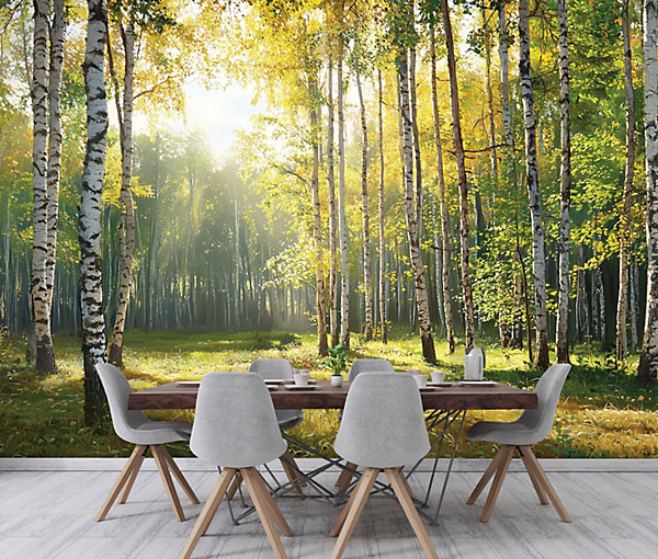 Papier Peint Intissé Panoramique Pour Chambre Cuisine 3D Forêt Vert 400x280