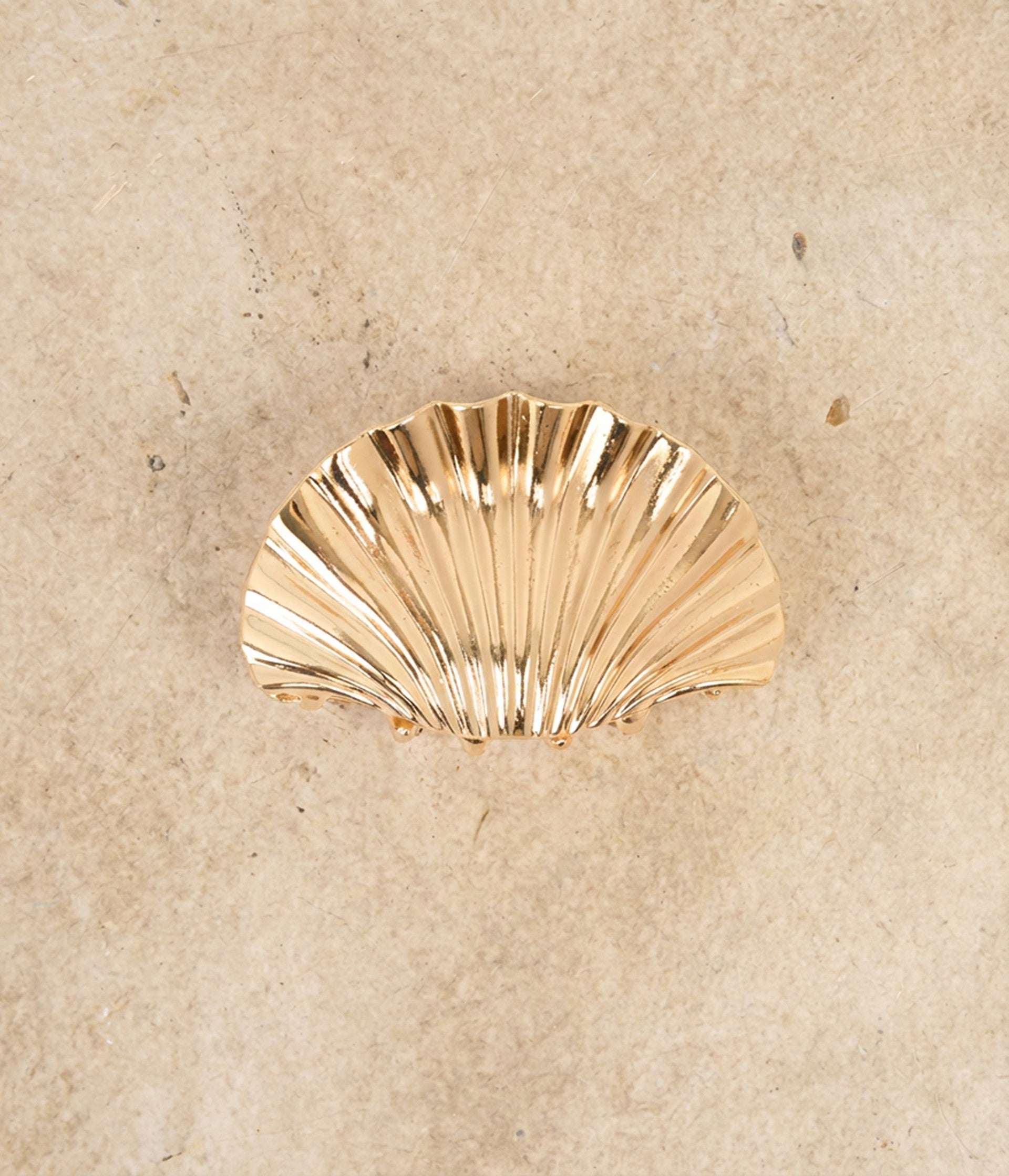 Pince coquillage dorée Paola