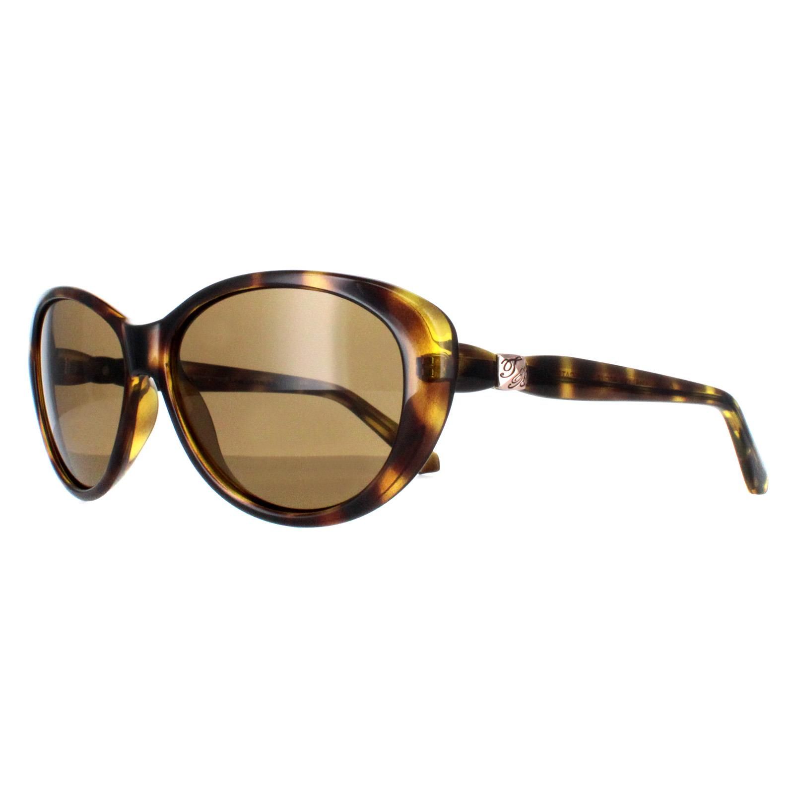 Ted Baker Oval Havana Brown Gradient TB1315 Cougar