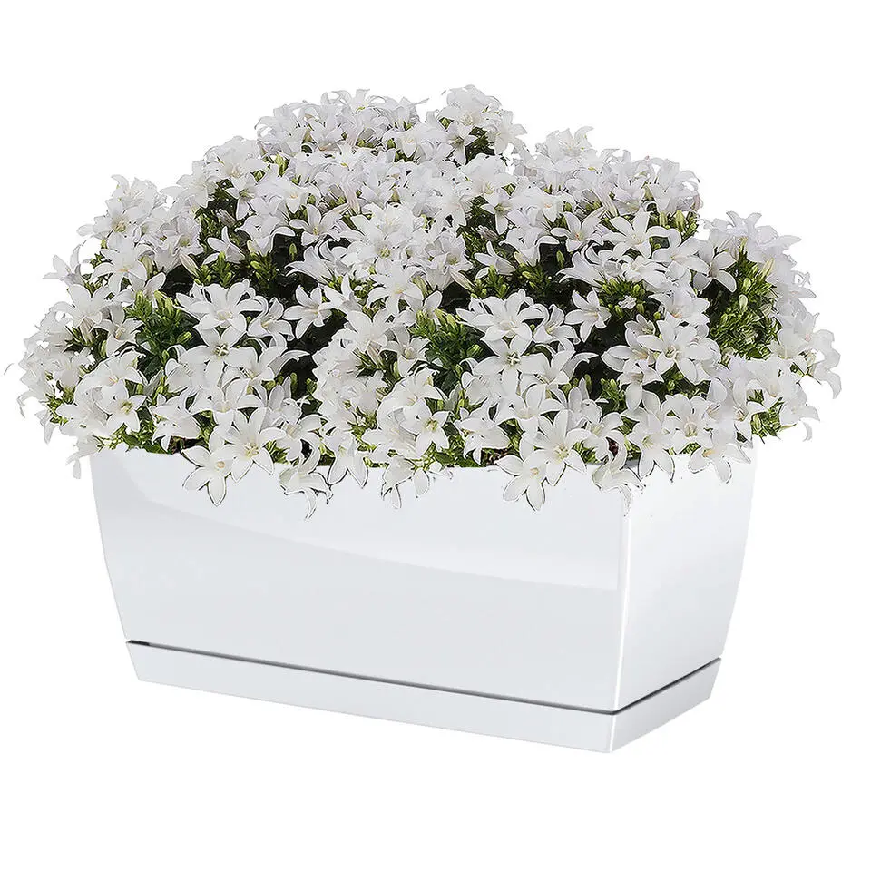 Prosperplast plantenpot - kunststof - parel wit - 24 x 12 x 11 cm