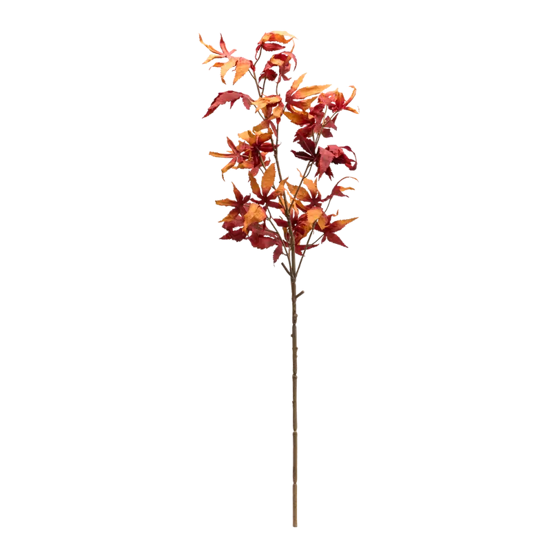 Dekozweig Dried-Grass