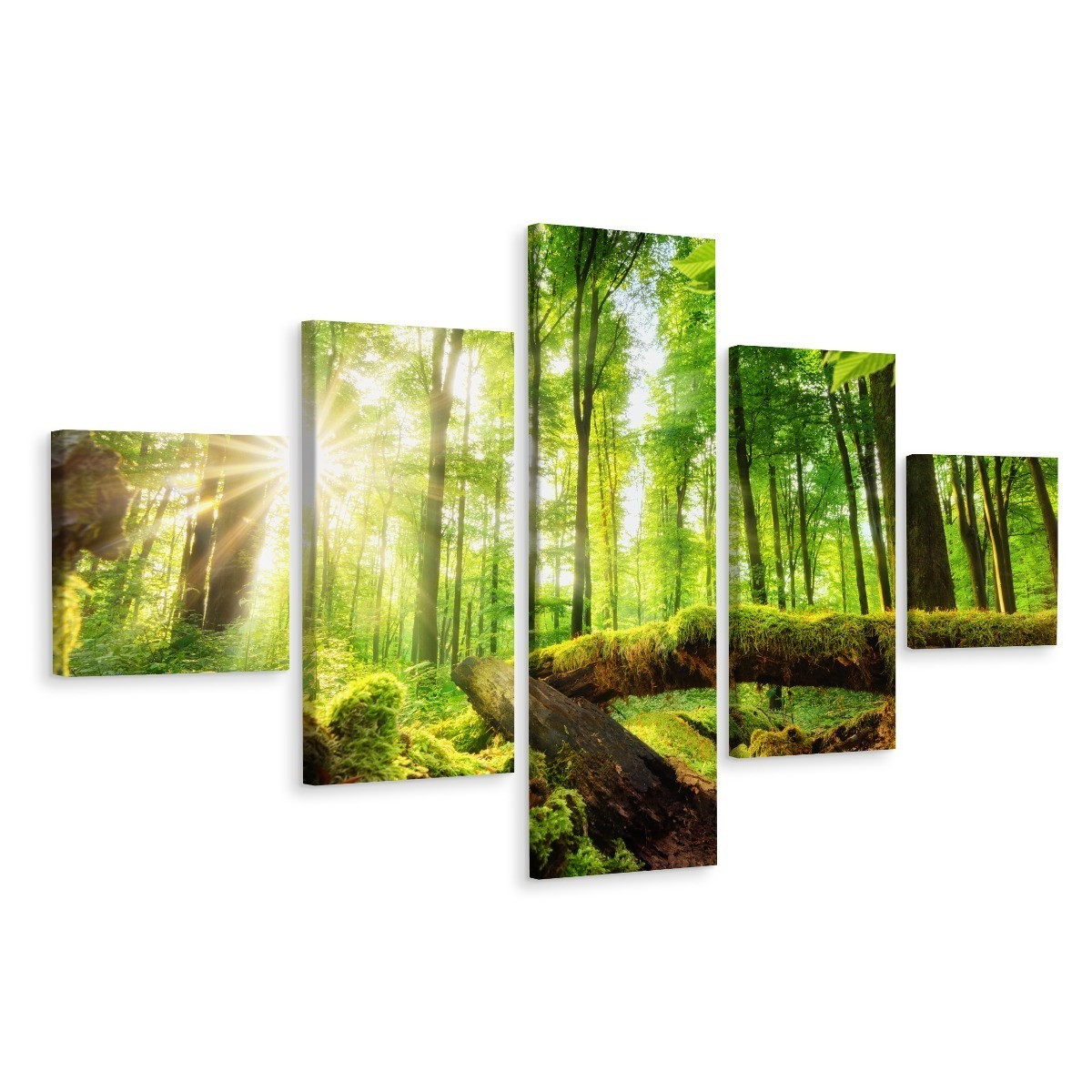Obraz Wieloczęściowy LEŚNY KRAJOBRAZ 3D 150x90cm