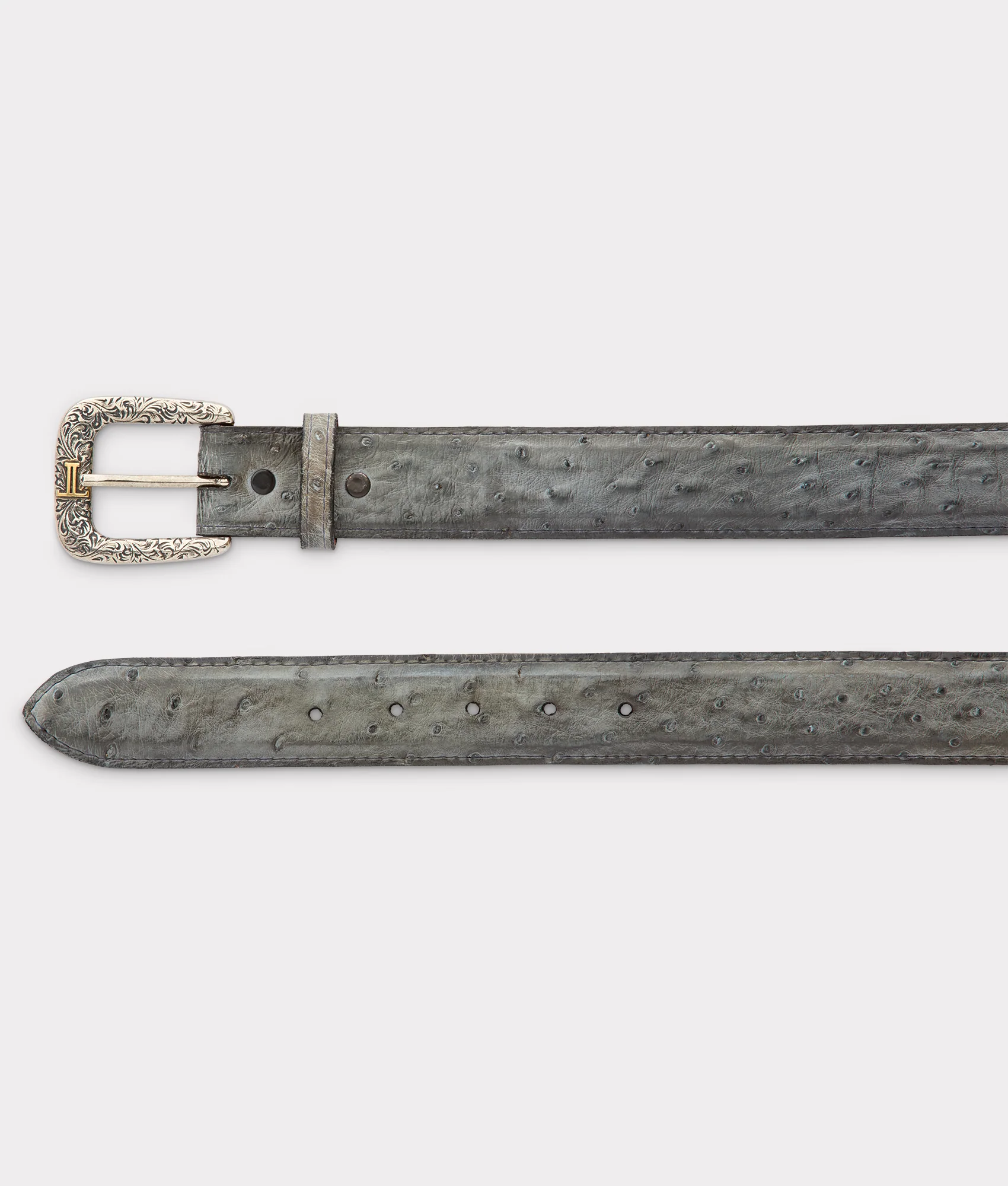 Full Quill Ostrich - Anthracite Grey