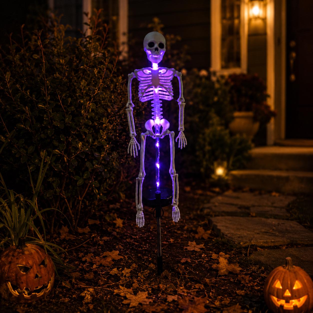 Solar Skeleton Garden Stake Light for Halloween Lovers, Spooky Outdoor Yard Decor in Purple, Green or Orange Glow