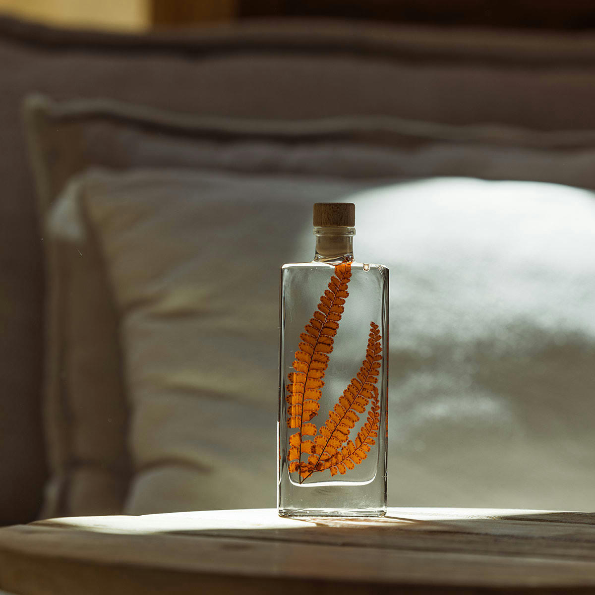 HERBARIUM DE THEOPHILE - Plante immergée Fougère Felci rouge