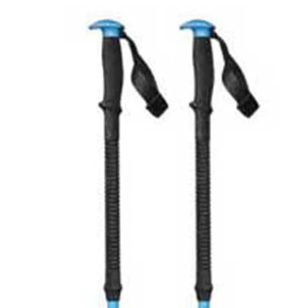 Black Diamond Expedition poles