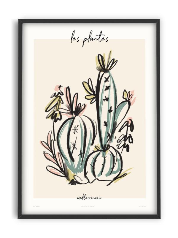 PSTR studio - Zoe - Les Plantes - Méditerranéen