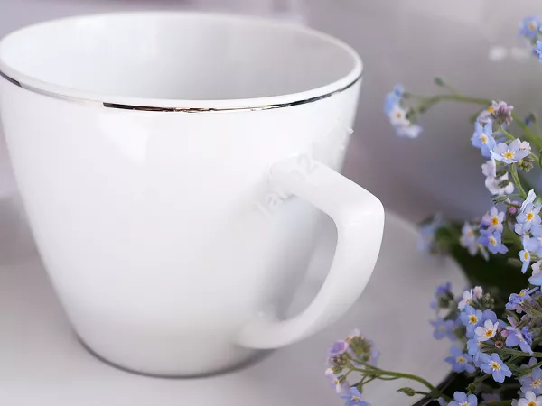 Filiżanka ze spodkiem 0,35 L/18 cm Waza - Modern WA-08P platynowa linia