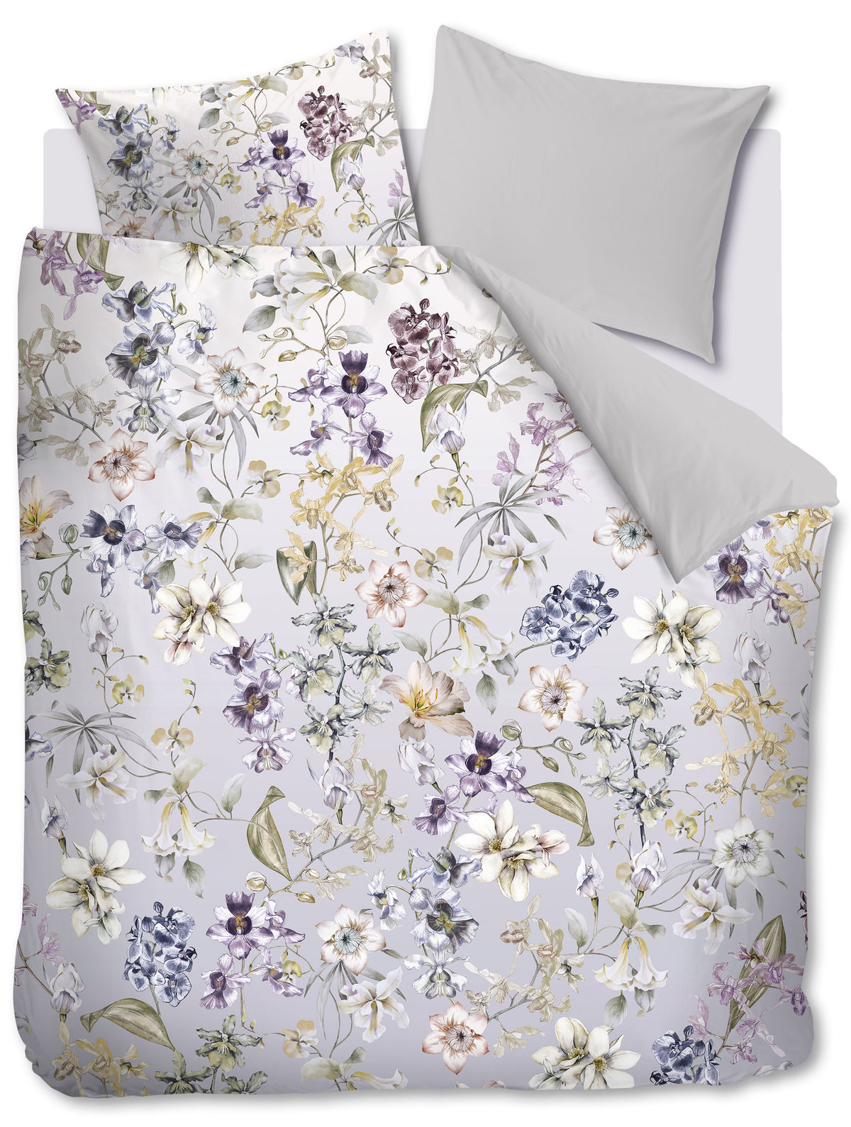 Kardol Branche - 260 x 200/220 cm - Grey Green