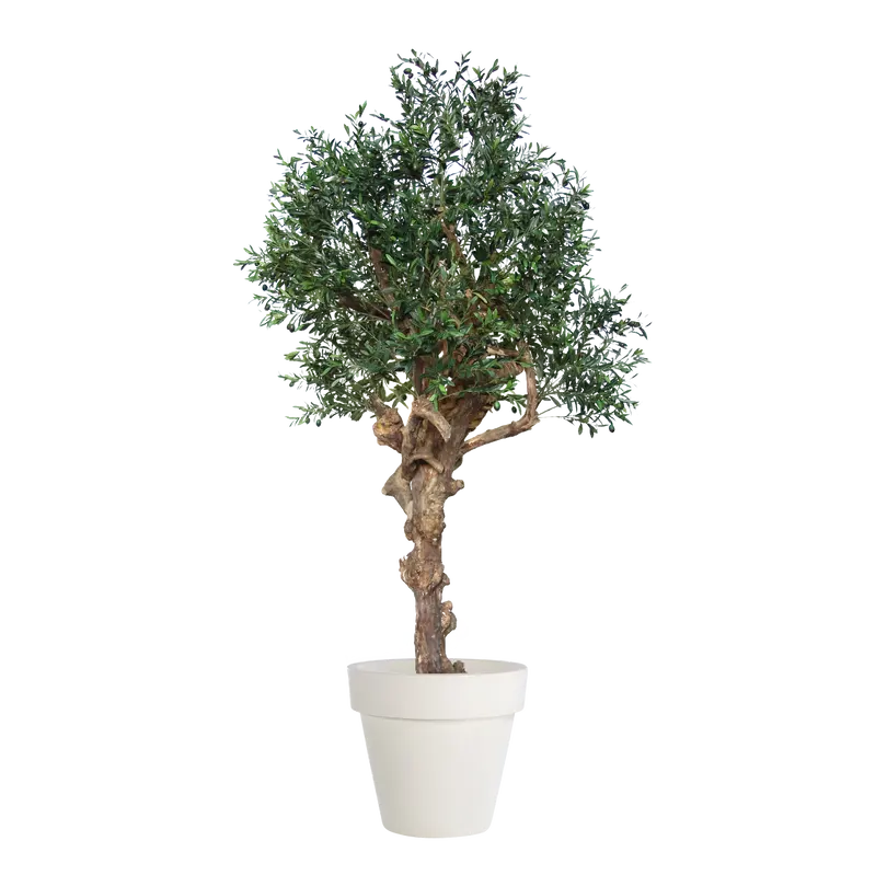 Kunstpflanze Olea europaea