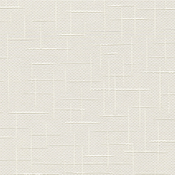 Papier peint à peindre vinyle intissé texturé blanc L. 2500 x l. 106 cm GoodHome Laurus