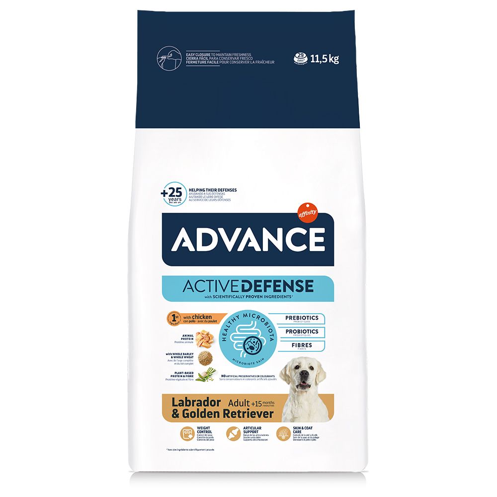 Advance Labrador Retriever Adult
