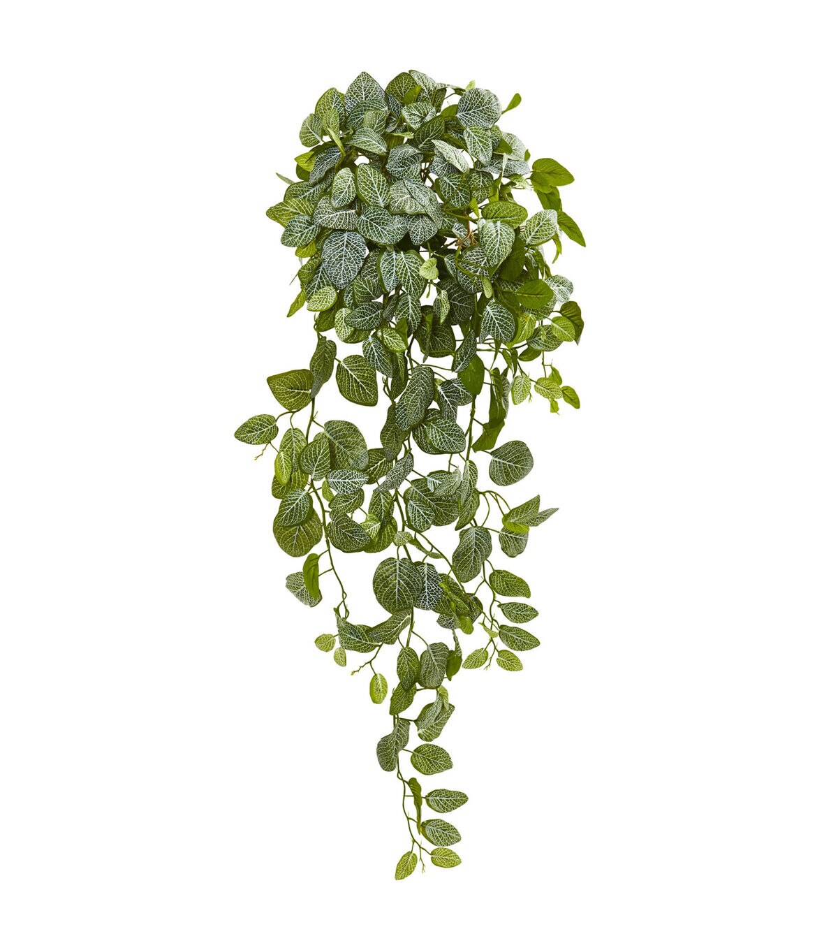 Nearly Natural 36 Real Touch Fittonia Hanging Bush Artificial Plant 2ct