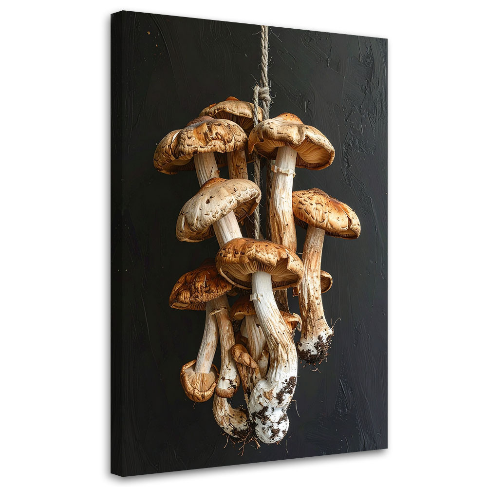 Obraz do kuchni restauracji baru jadalni, Suszone grzyby leśne 20x30