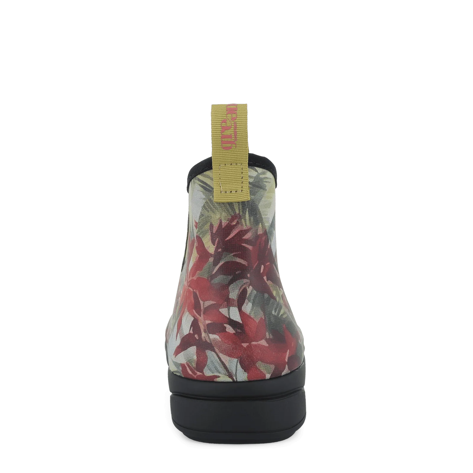 RAIN RAFAELL - HIBISCUS