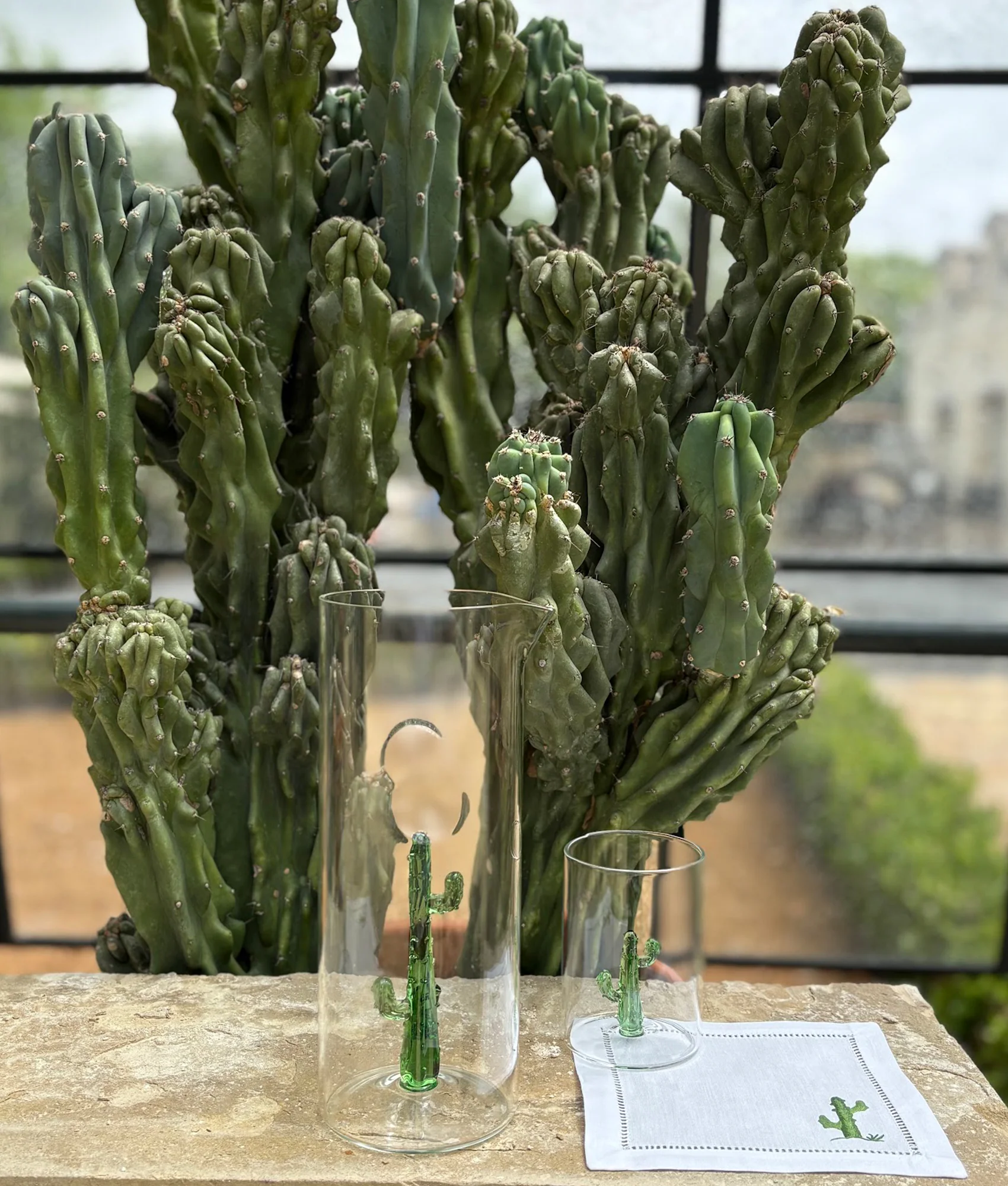 Cactus Pitcher - Green