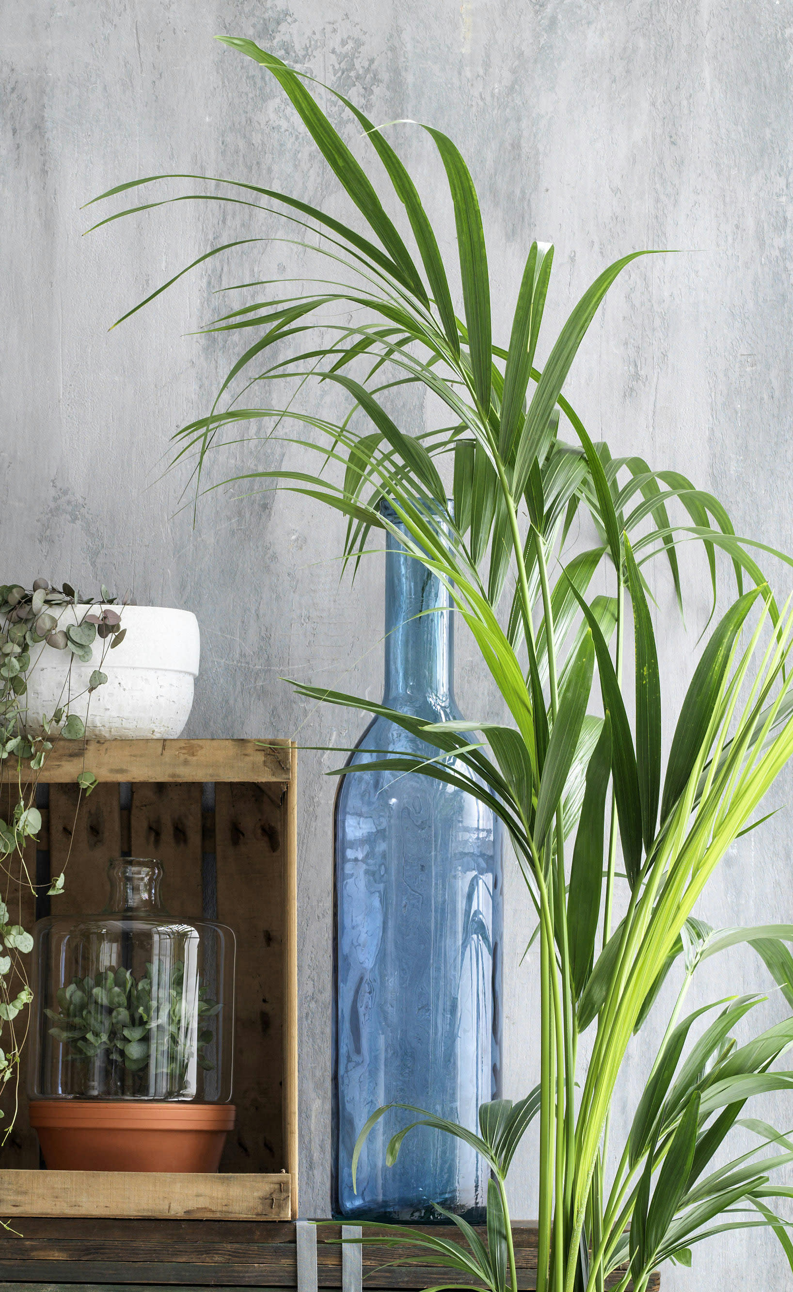 RIOJA - Vase bouteille en verre recyclé bleu H100