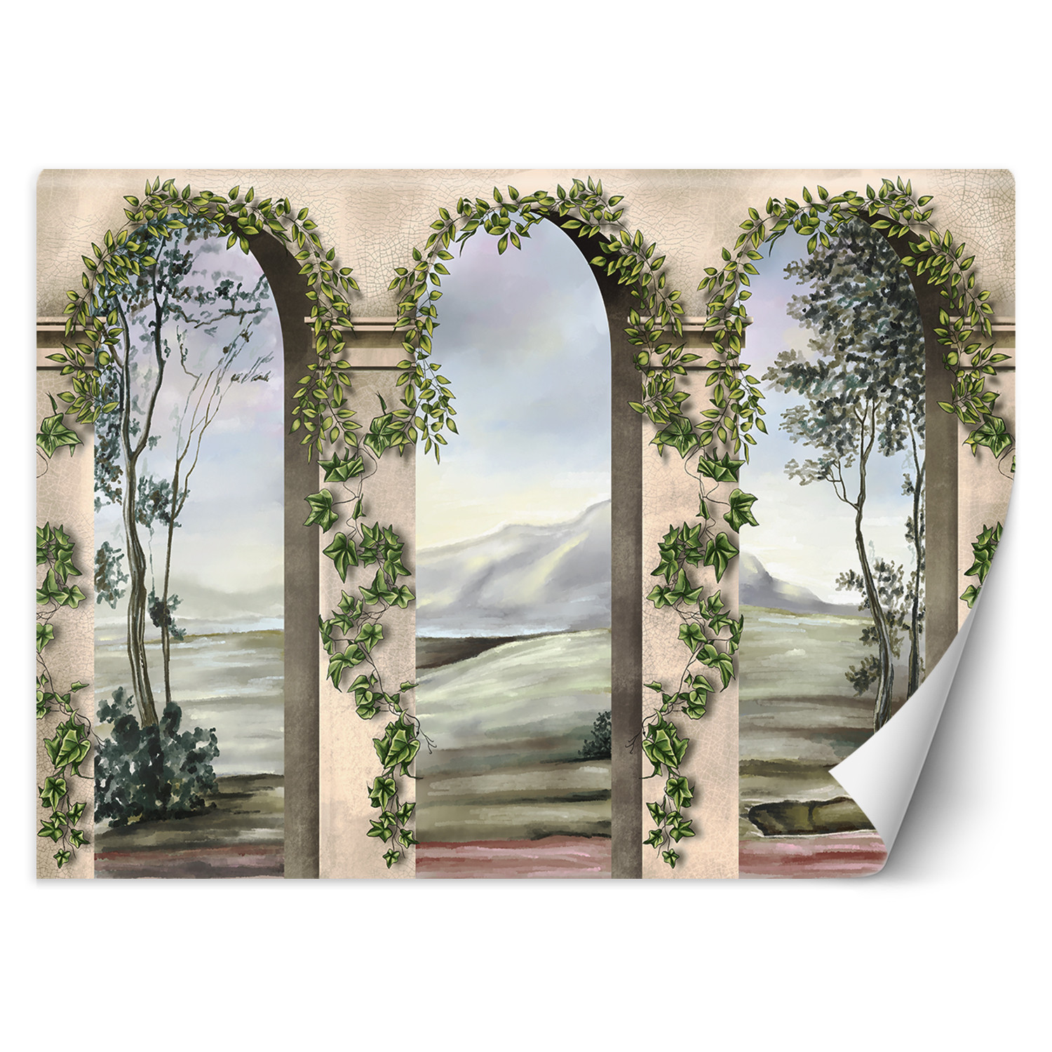 Feeby Fototapeta, Kolumny łuki bluszcz 150x105