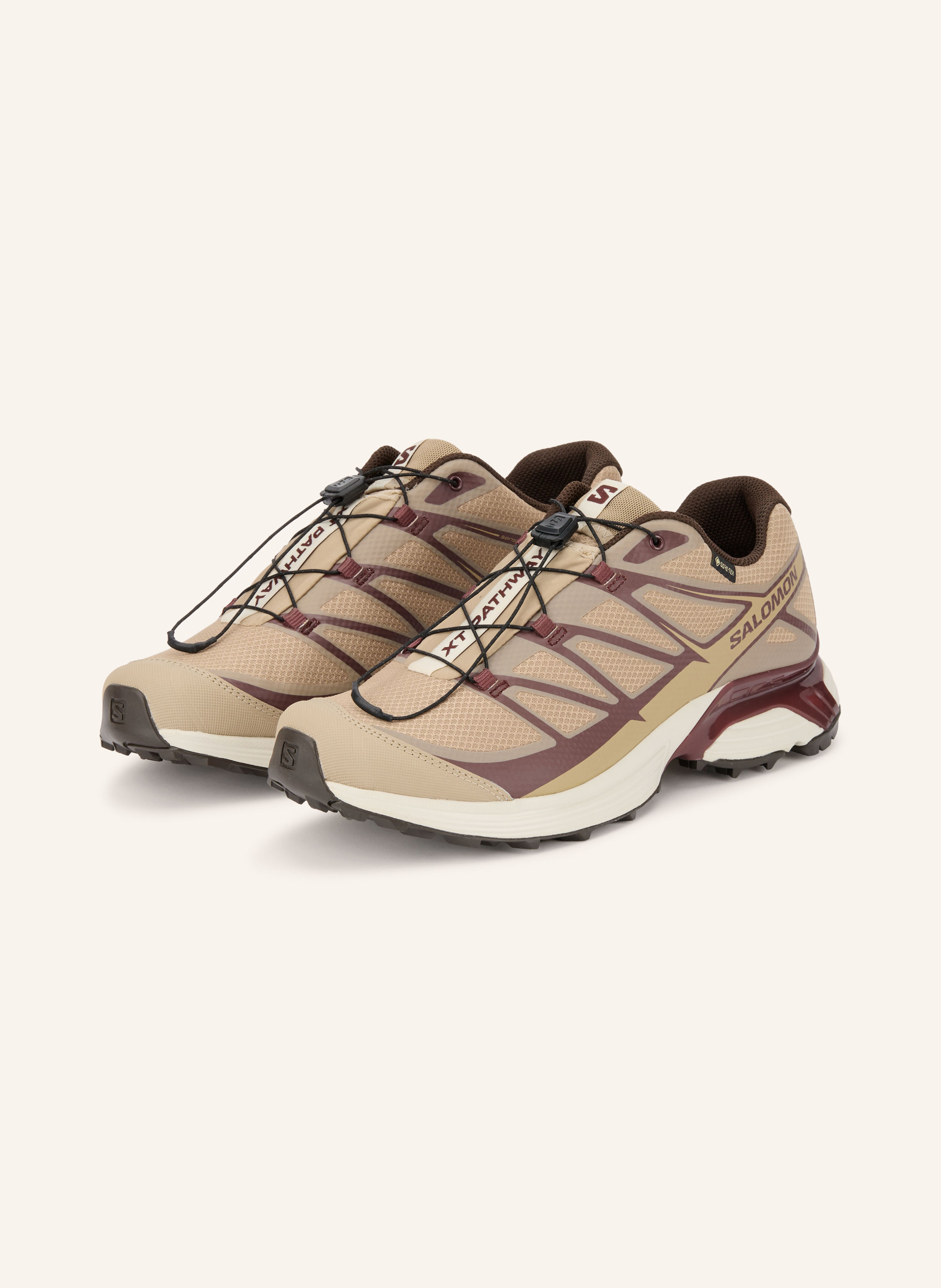 SALOMON Sneaker XT-PATHWAY GTX