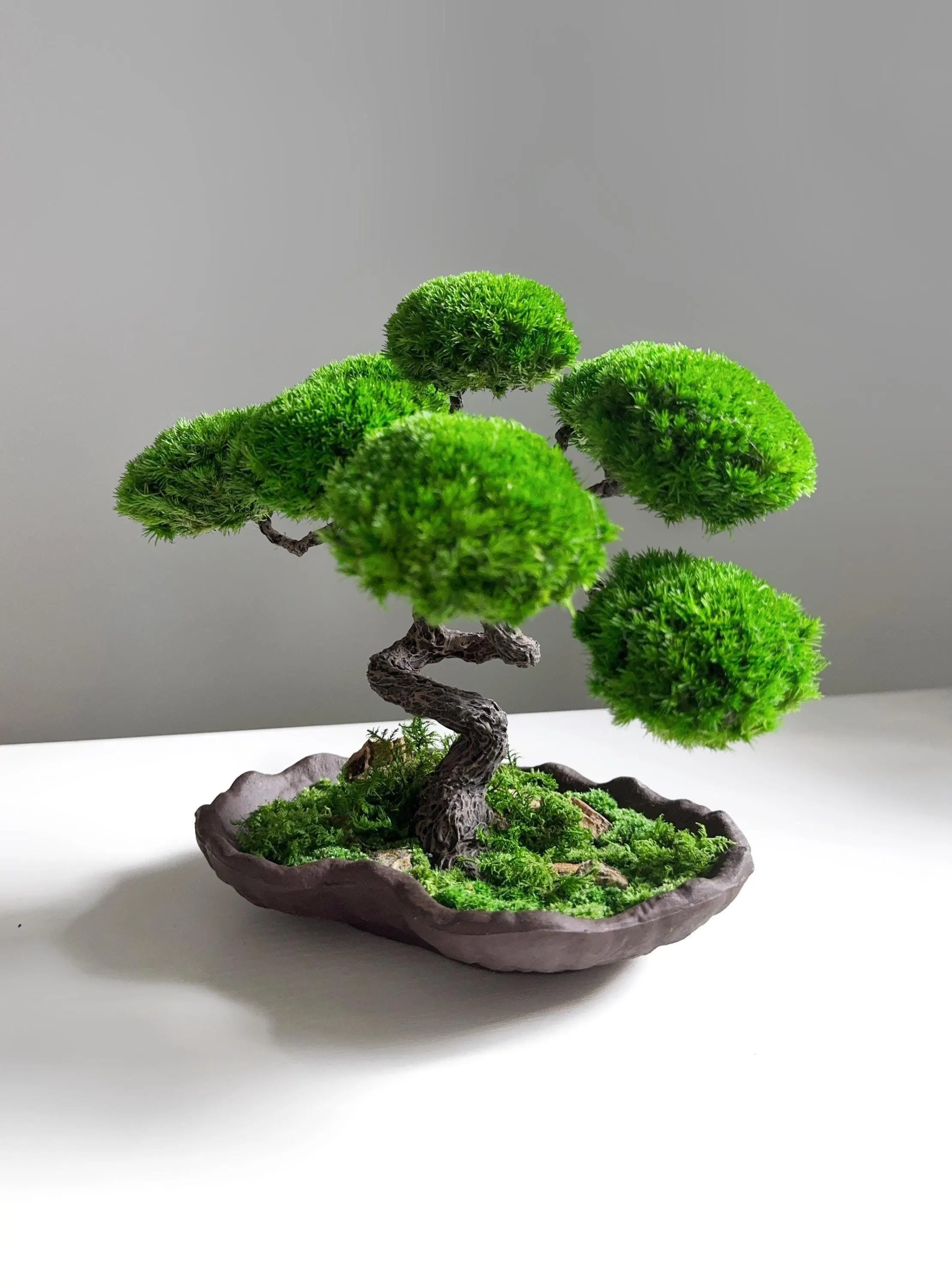 Handmade Lucky Tree, Minimalist Zen Bonsai | Stabilized Plants, Preserved Moss | Ceramic Base, 25 Cm Height