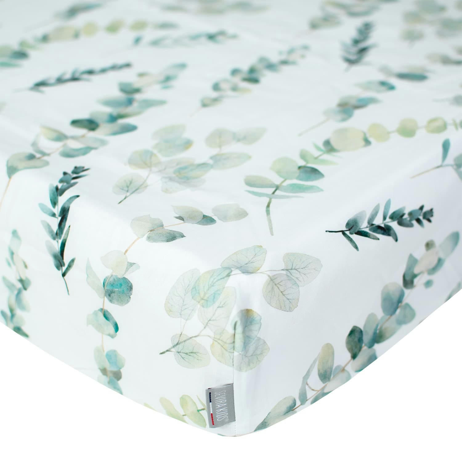 EUCALYPTUS - Drap-housse en coton  60x120