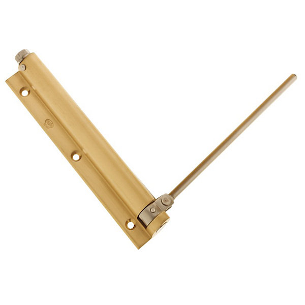 AMIG - Paumelle ressort200 BI - 190 x 180 mm - Laiton - Mat
