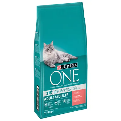 PURINA ONE Adult Salmon & Whole Grains Dry Cat Food