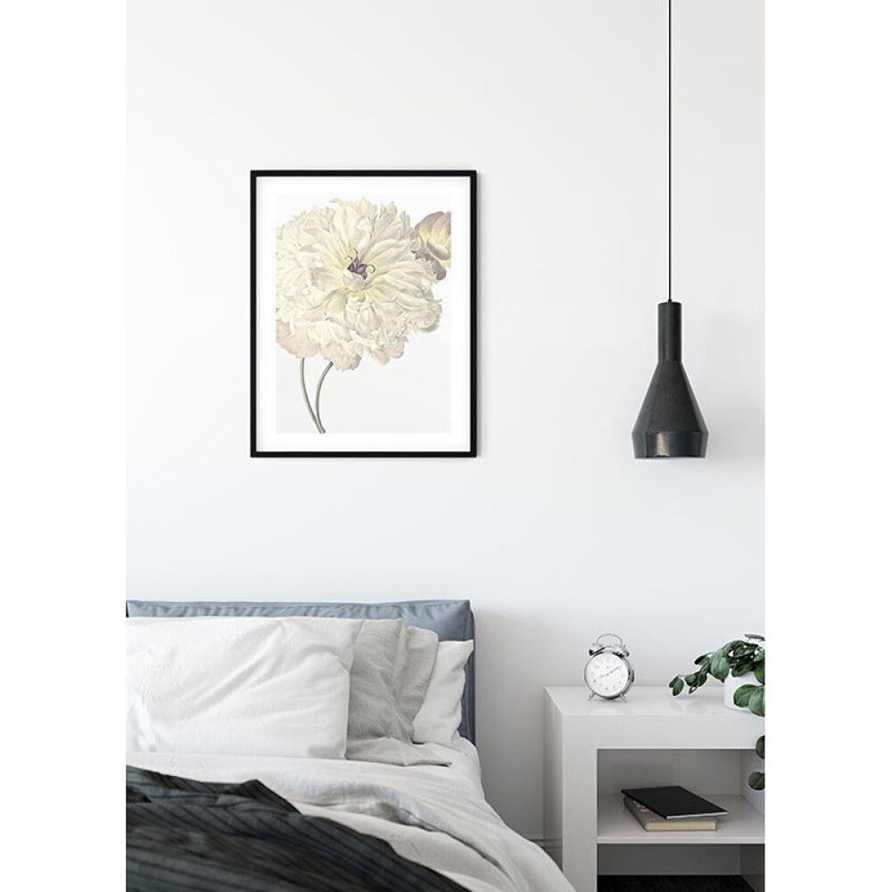 PLAKATER KOMAR ILLUSTRASJON GEORGIA 50X70CM