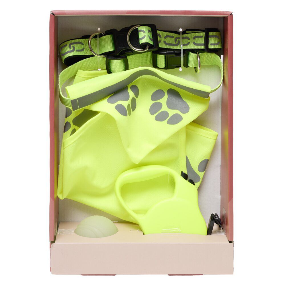 Accessoire sellerie pour chien 5 pièces fluorescent jeu et promenade