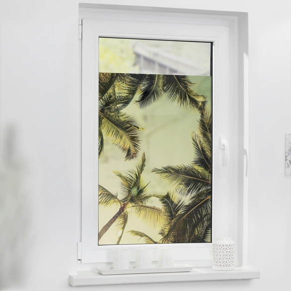 Fensterfolie, Polyvinylchlorid (PVC), Format: 50 x 50 cm (B x L) cm