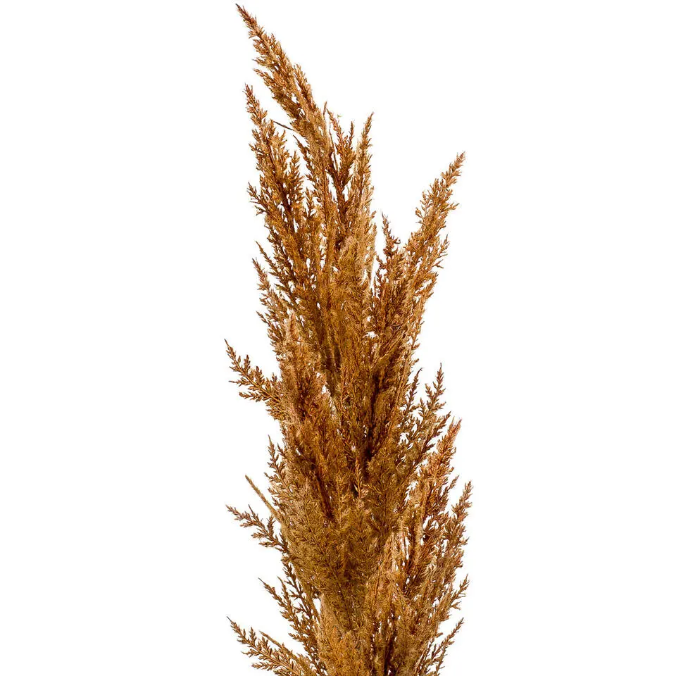 Emerald Pampasgras kunst pluim steel/tak - roestbruin - 92 cm