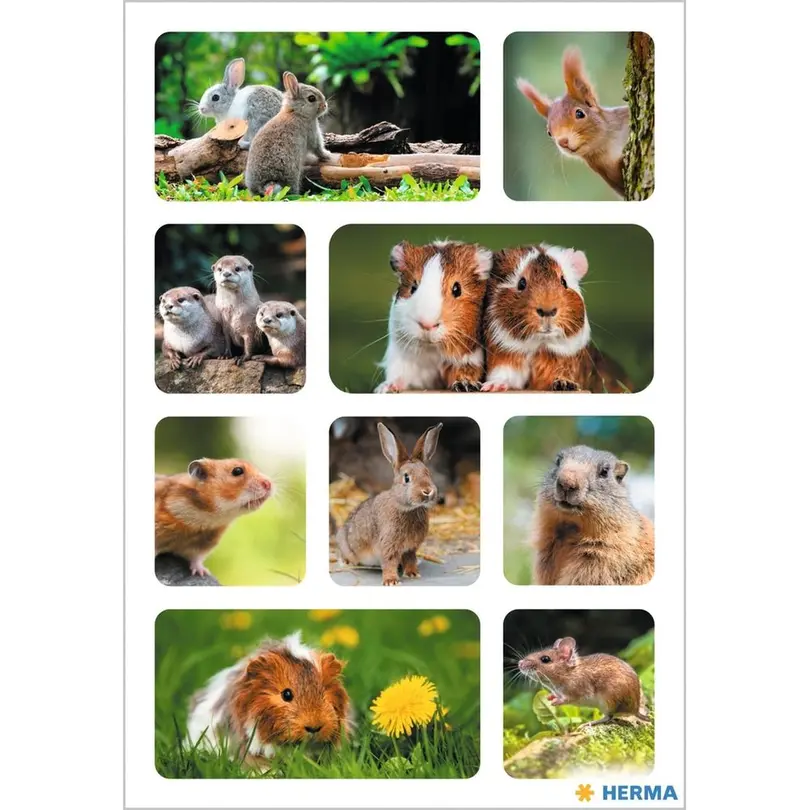Sticker 30er-Set Motivsticker Nagetiere