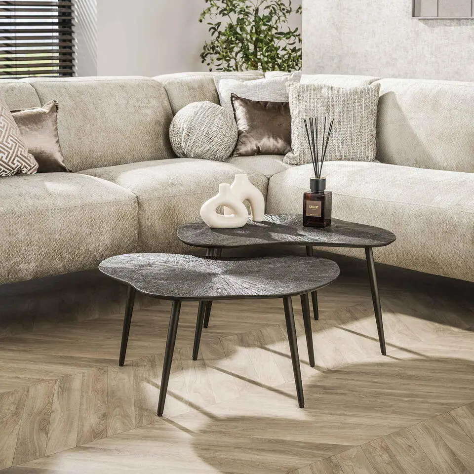 Salontafel Brons Metaal - Set Van 2 - 76x62x41cm - Ray