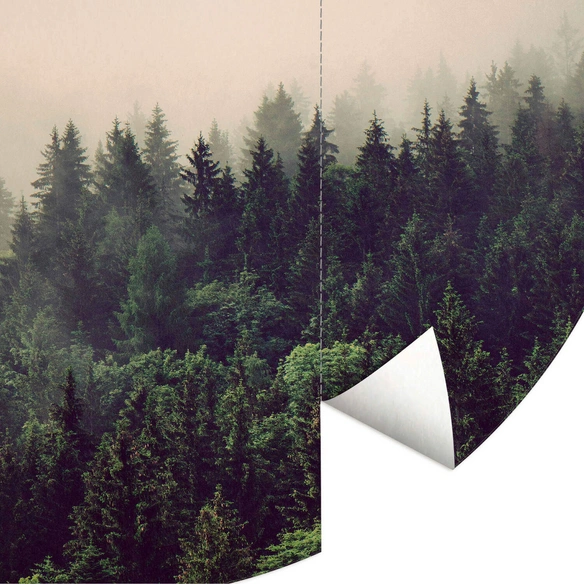 Vliestapete »Runde Vliestapete«, Nebel Wald Tannenwald Natur, mehrfarbig, matt