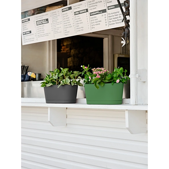 Blumenkasten »Vega«, BxH: 40 x 18 cm, grün