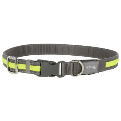 Kerbl Pet Light & Reflex Light Leash