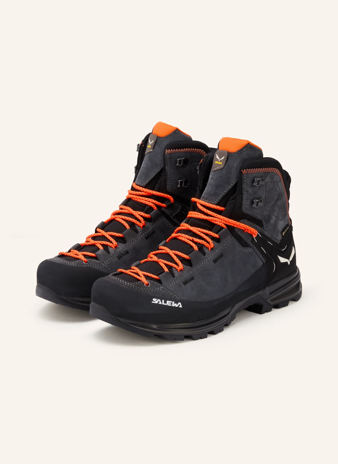 SALEWA Bergschuhe MOUNTAIN TRAINER 2 MID GTX