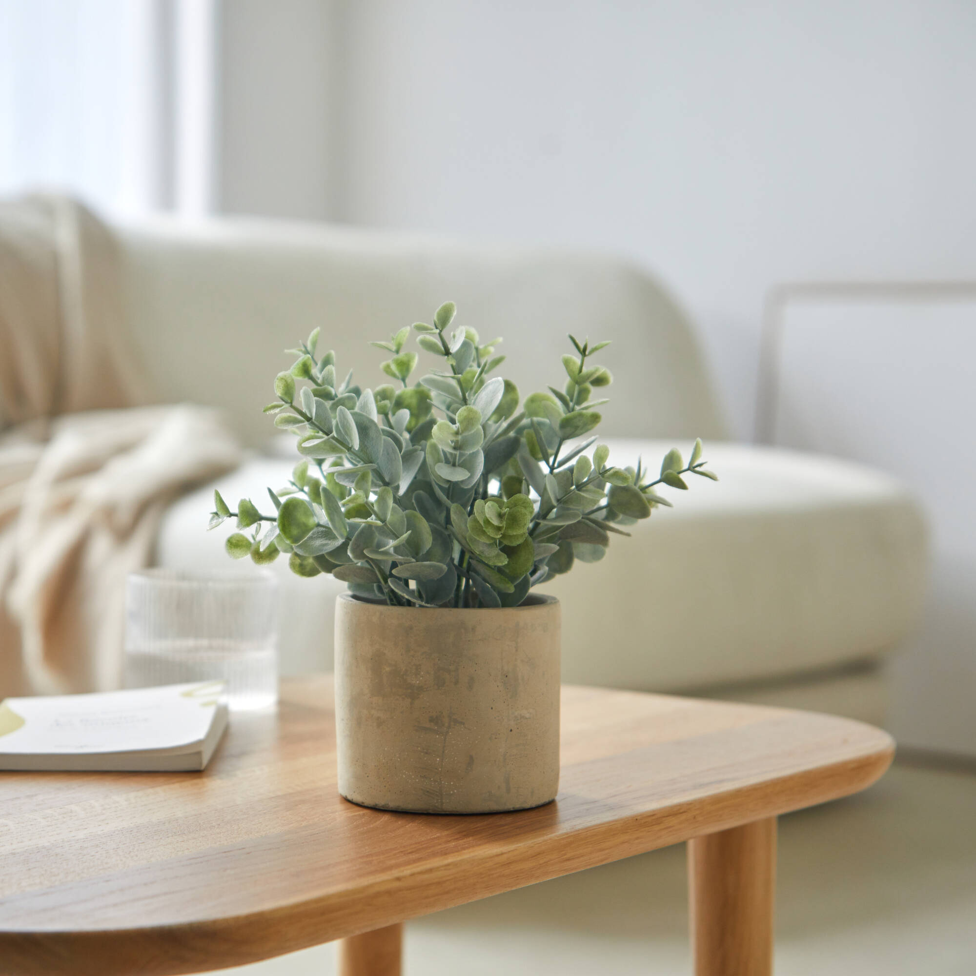 Plante artificielle et pot en ciment