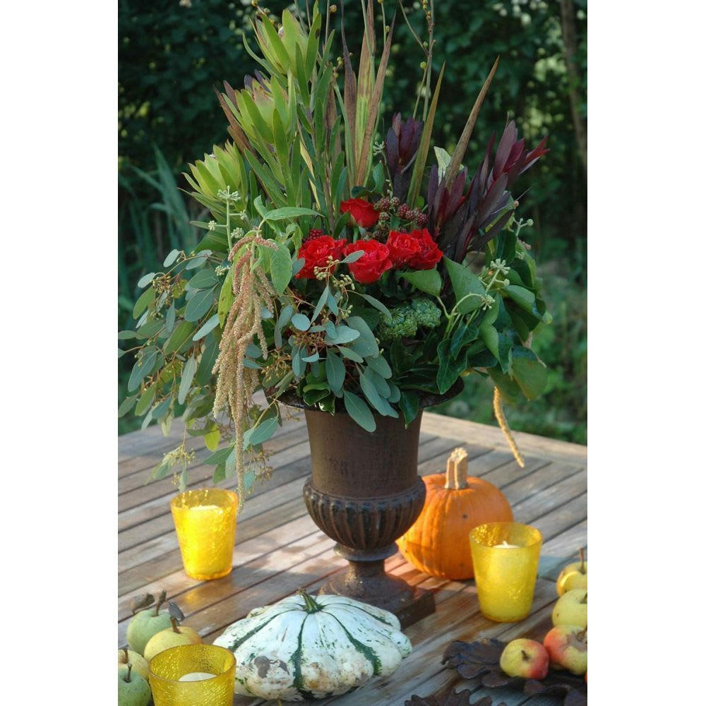 - Vase médicis en fonte hauteur 66 cm