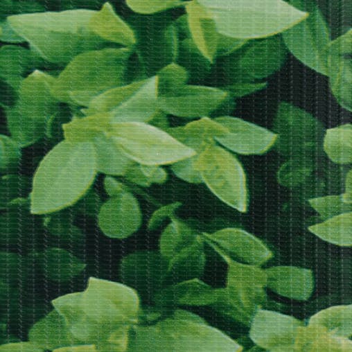 NNEVL Garden Privacy Screen PVC 35x0.19 m Green